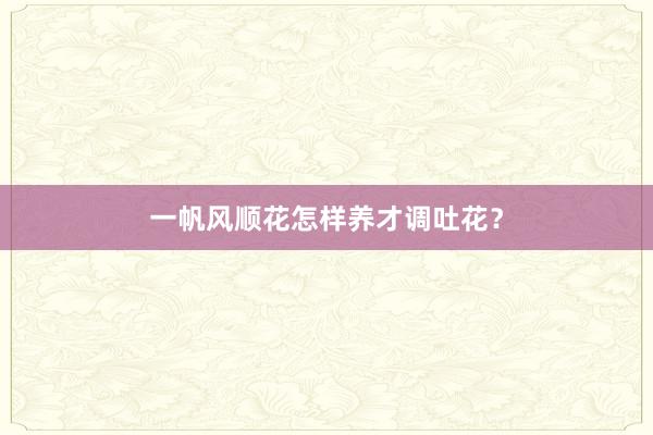 一帆风顺花怎样养才调吐花？