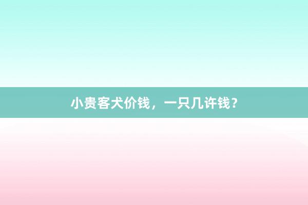 小贵客犬价钱，一只几许钱？