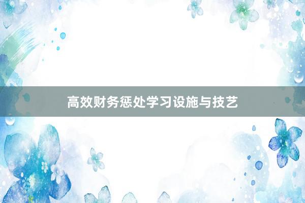 高效财务惩处学习设施与技艺